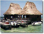 thach.gif (13040 bytes)