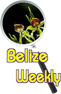 title_wklybig.gif (17942 bytes)