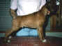PC.FloydPatterson.JPG (60761 tavu(a))