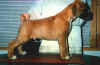 PC.Ucalabucala.JPG (25687 tavu(a))