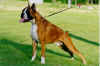 Xanthos v. DrimbornS.jpg (188686 tavu(a))