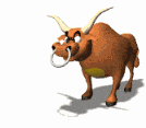 Estudio Veterinario