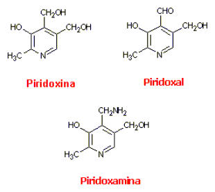 Vitamina B6 (piridoxina)