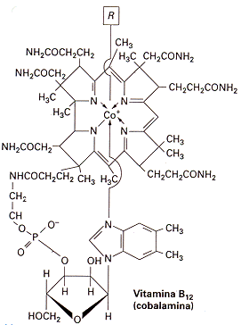 Vitamina B12 (cianocobalamina)