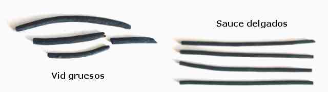Carboncillos