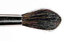 Pelo de ardilla gris