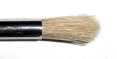 Cerda blanca