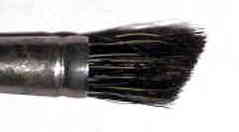 Pelo de turón