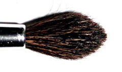 Pelo de poni