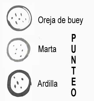 Punteo