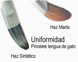 Uniformidad