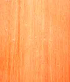 Caoba