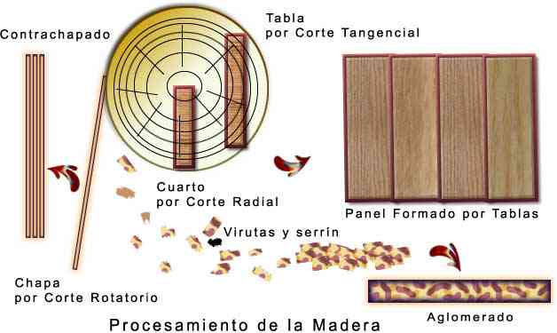 Precesamiento de la madera