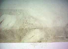 Papel con polvo