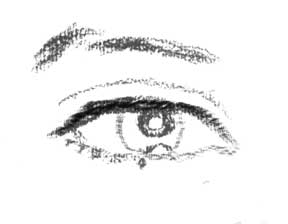 Ojo 03