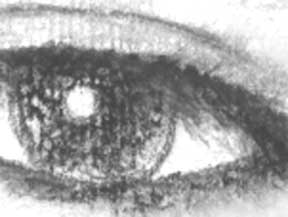 Ojo iris