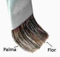 Palma y flor