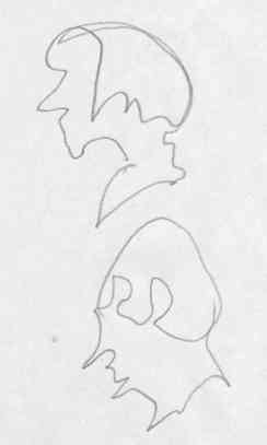 Contorno