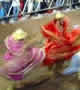Foto 153 - Concurso do 3º Grande Arraial de Goiânia, Praça Universitária - Ano 2004