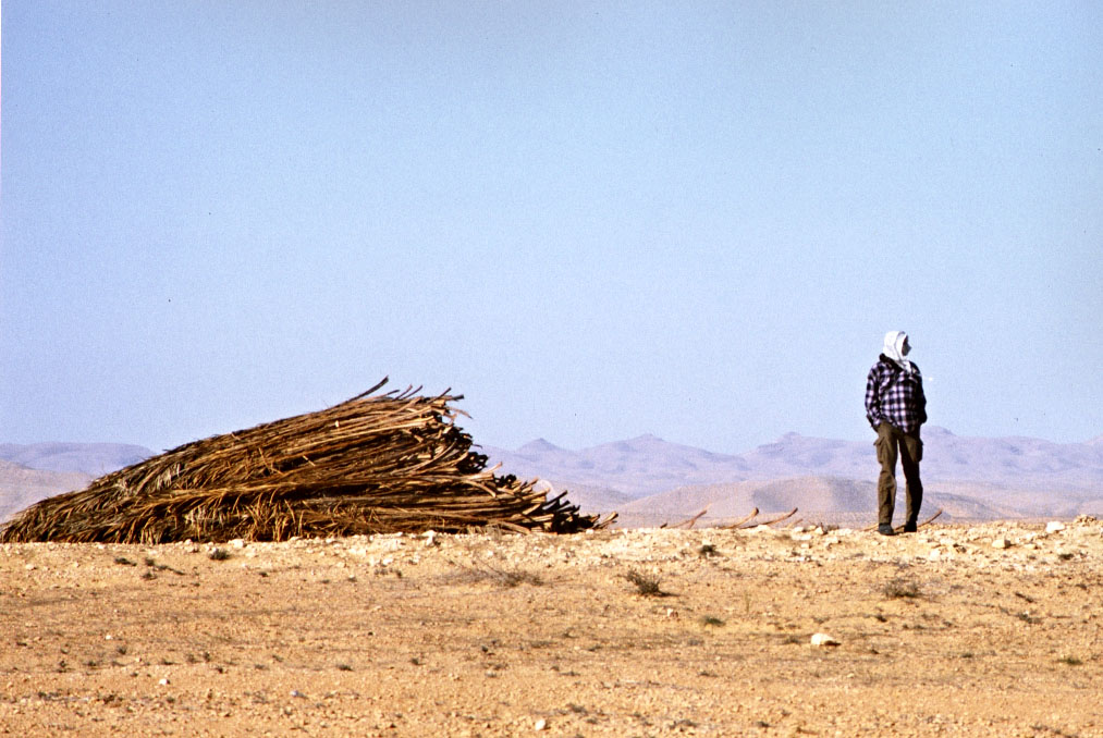 Sahara, 1999