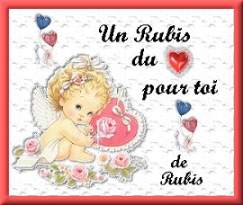 Re�u le 20 janvier 2005