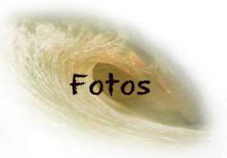 Fotos. Voc� pode publicar a sua foto gratuitamente