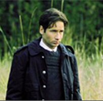 Mulder
