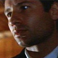 Mulder