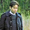 X-Files