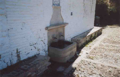 La Fuente del Avellano de Granada