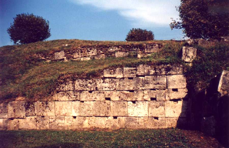 Ziduri