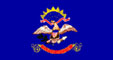 inf flag