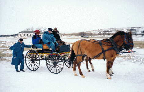 Custer Christmas