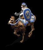 Heavy Camel