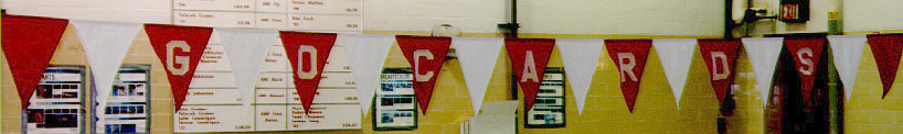Bellaire High School