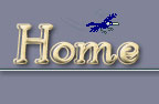 Portfolio Home