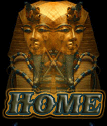 Portfolio Home