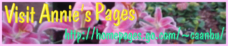 Annie's Pages