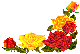 Image of rose_bor.gif