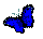 Image of tinybfly.gif