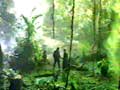Deadly Swamp