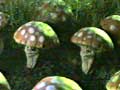 singing mushrooms