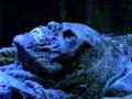 Evil Stepmother Corpse