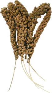 Buy Millet Spray