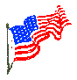 Flag Left