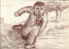 Hombre_corriendo.jpg (26901 bytes)