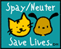 spay/neuter your pet