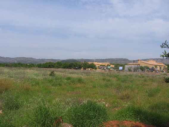 vista primera de la finca (18K)