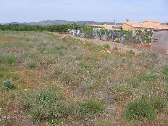 vista 4 de la finca (33K)