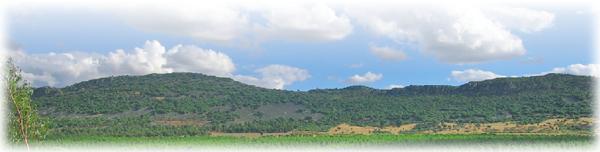 Vista general de la finca